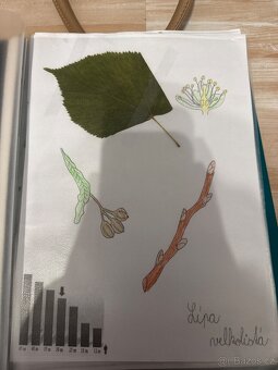 Herbář - 12