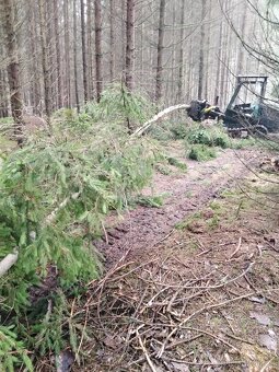 Harvestor Lokomo Makeri M34T - 12