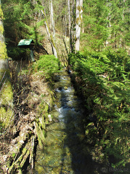 Prodám krkonošskou chaloupku - 12
