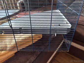 Klec Savic Freddy 2 - 12