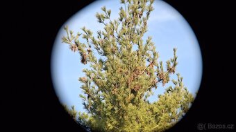 Dalekohled BOC 7X50 TENTO - 12