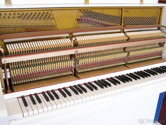 Prodám pianino Solton C 120 - 12