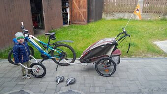 Thule chariot cx1 - 12
