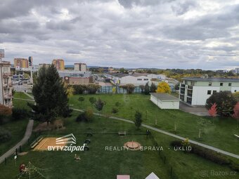 Pronájem, Byty 1+1, 39 m² - Plzeň - Bory, ev.č. yIVB8570 - 12