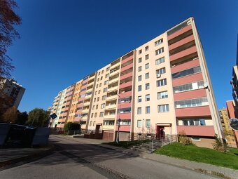 Pronájem bytu 2+1 v Ostravě - 12