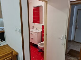 Pronájem 1+kk Olomučany u Blanska - 12