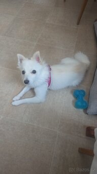 TV LG OLED55C9 titanium - 12