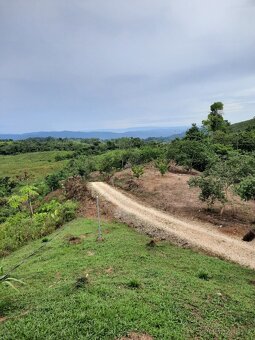 Farma Kostarika Guayacará 152 Ha - 12