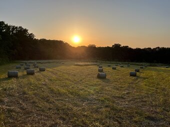 Prodej lučního sena - 12