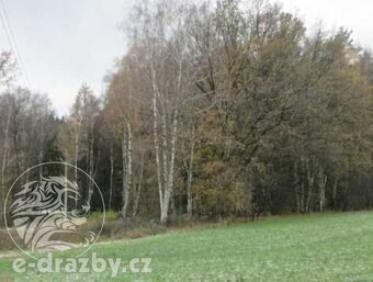 Pozemky 49 617 m2 , Vlašim, okr. Benešov, ev.č. 212D7254P - 12
