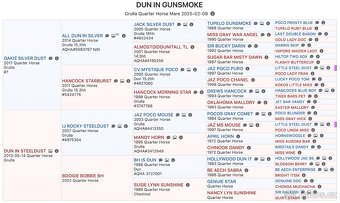 Grullo klisna American Quarter Horse v typu bull - 12