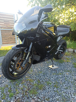 Aprilia RSV 1000 R.V.2002 - 12