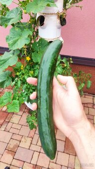 Hydroponická věž - 6 pater - 12