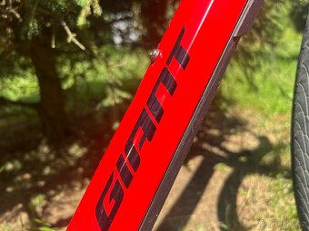 Gravel Giant Revolt vel L. - 12