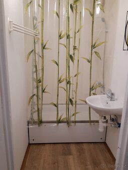 Pronájem bytu 1+kk - 12