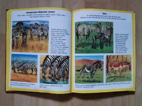 Kniha Obrázky koní a poníků, čtená - 12