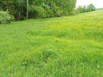 Pole, orná půda, k pronajmutí, do pachtu za naturálie. - 12