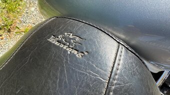 Yamaha Road Star XV1700 (Wild Star) - 12