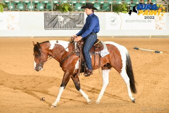 Fantastic Dj Valentin -připouštění homozygotní APH plemeník - 12