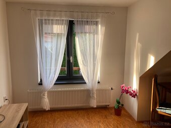 Pronájem bytu - 12