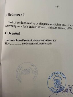 Prodám mistrovské housle Mathias Heinicke - 12