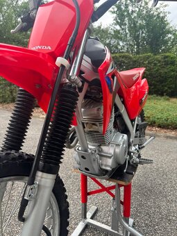 Honda crf125f 2023  (velké kola) - 12