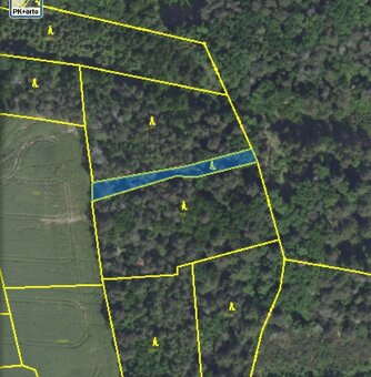 Lesní pozemek Chářovice - 12