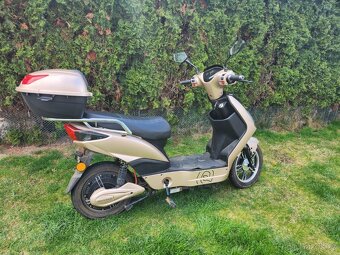 🛵Prodám Elektroskútr RACCEWAY® E-FICHTL® – světle zlatý mat - 12
