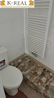 Pronájem byt 1+kk Roštín, okr. Kroměříž - 12