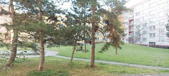 2+1 O.- Dubina, 12.000 Kč i s energiemi, volné kolem 20. 5. - 12