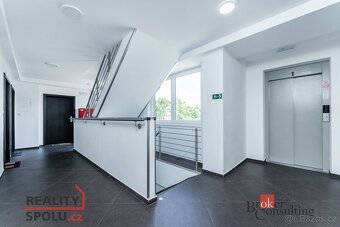 Pronájem, byty/3+kk, 53 m2, Dubová, Bohatice, 36004 Karlovy  - 12