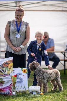 Lagotto Romagnolo s PP - 12