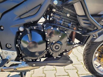 Triumph Tiger 1050 SE - 12