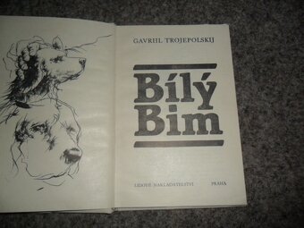 Verne, Amundsen, Byrd, polárníci, Poplach v Kovářské uličce - 12