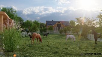 Prodej stavebního pozemku o výměře 2226 m² , obec Vyškovec - 12