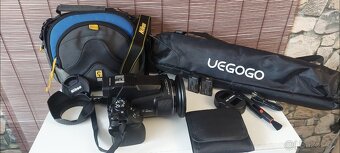 Nikon coolpix p950 - 12