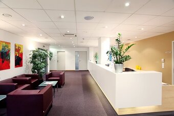 Pronájem kanceláře, 60 m2 - Praha - Nové Město - 12