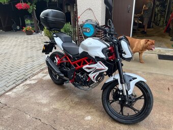 BENELLI BN 125 Euro 5 - 12