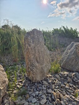 Kamenná kůra, bílé kameny - 12