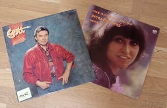 Vinylové desky LP různých interpretů v perfektním stavu - 12