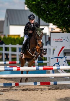 Pony učitelka - 12