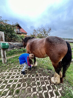 Dětský tábor u koní - Ranch Violet 2025 - 12