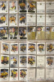 Hokejové karty - HC Litvínov - 12