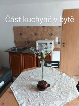 Pronájem bytu - 12
