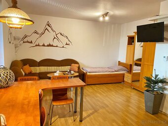 Pronájem byt 1kk (40m2) + park. stání, Čeladná - Farské luky - 12