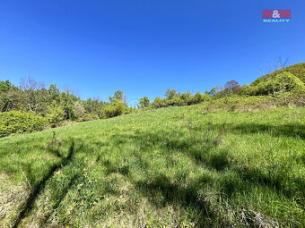Prodej louky, 21830 m², Malšovice - Hliněná - 12