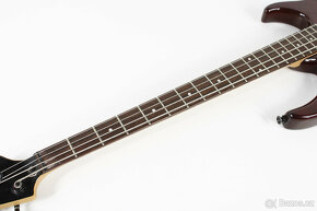 Kytara PEAVEY Millennium AC BXP - 12