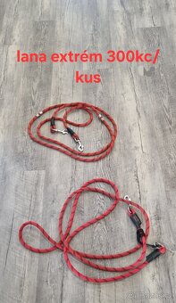 Uklid veci- všeho chuť pro psy - 12