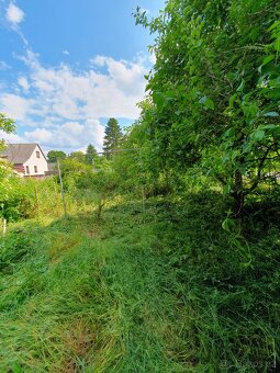Prodej chalupy 221 m², pozemek 560 m², Hradec n. Svitavou - 12