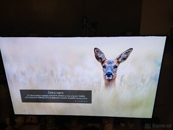 VYMENA OLED65BX TV LG PRÉMIOVÁ AI Smart 4K webOS 165cm Oled - 12